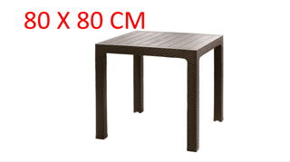 MESA PLASTICO ROBLE 80 X 80 REY