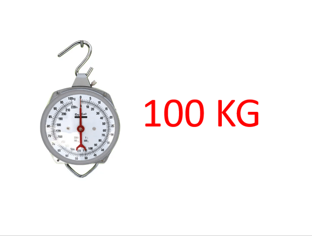 BALANZA CAVORY HANGING SCALES 100KG