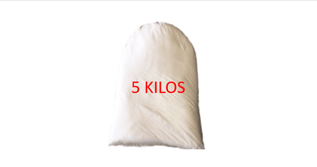 YESO BOLSA 5KG APROX.
