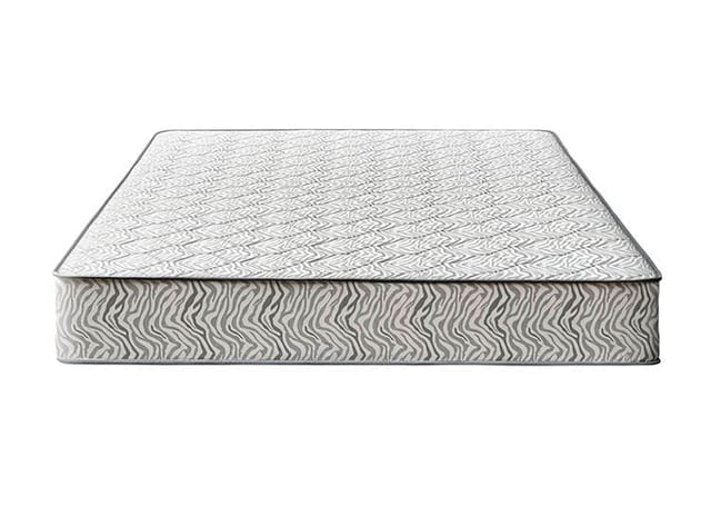COLCHON 2 PZ ZEBRA 16 X 6" PARAISO
