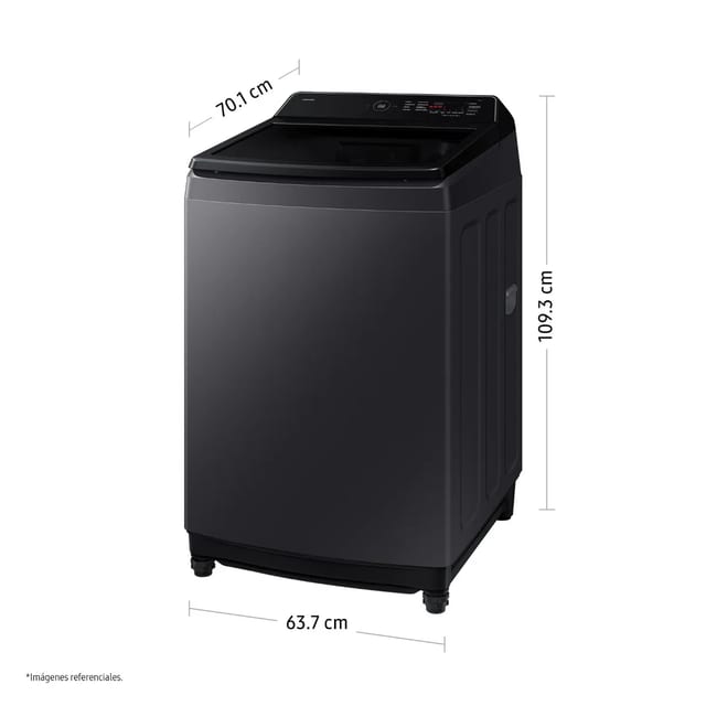 LAVADORA SAMSUNG 19 KG WA40F19E7CPE GRIS