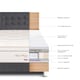 DORMITORIO ROYAL PRINCE 2 PLZ PARAISO
