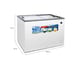 Congeladora Exhibidora Horizontal Miray CEMH-245M 246 L