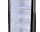 EXHIBIDOR MIRAY NO FROST 430 LT CMVE-434D
